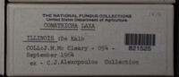 Image Associated With the Occurence